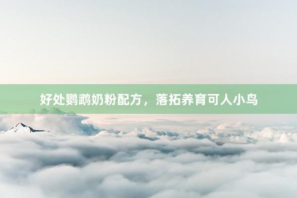 好处鹦鹉奶粉配方，落拓养育可人小鸟