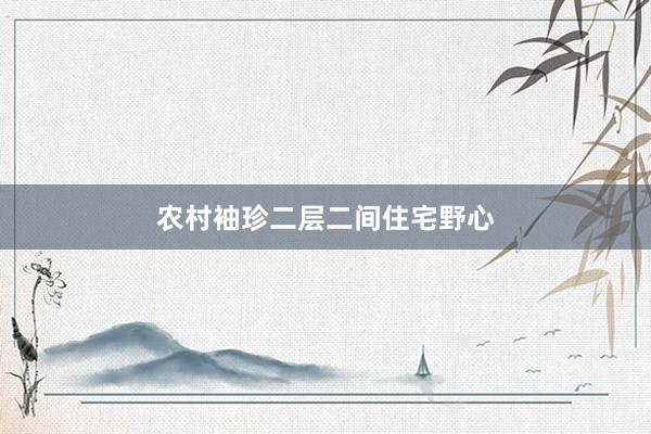 农村袖珍二层二间住宅野心