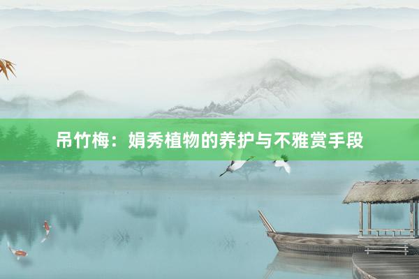 吊竹梅：娟秀植物的养护与不雅赏手段